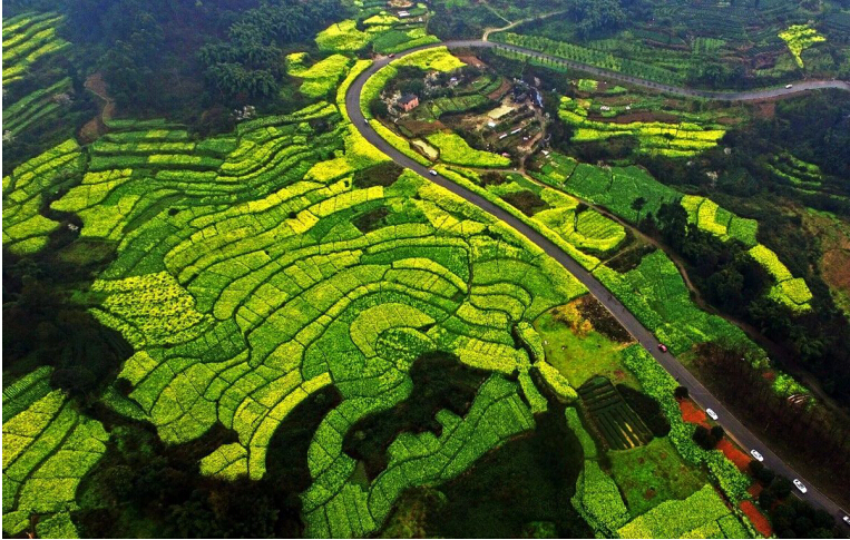 天府孔雀城：蒲河畔，新城央，精筑生态宜居样本